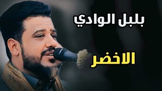 وا مغرد بوادي الدور // يالله كيف أداها بهذه الأجواء خياااااااال | يحيى عنبه | 2023