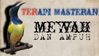 MENJADIKAN BURUNG GACOR & BERMATERI-TERAPI MASTERAN SOGON ISIAN MEWAH