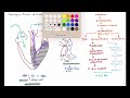 pathophysiology of cardiogenic shock