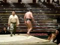 新錦さん　勝ち　2011年大相撲一月場所　20110113