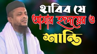 নতুন গজল । হাবিব যে আমার হৃদয়ের ও শান্তি । অলিউল্লাহ আশেকী গজল । oliullah asiki gojol 2023