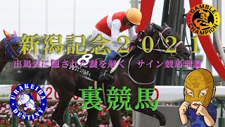 新潟記念2021　出馬表に隠された謎を解く　サイン競馬理論