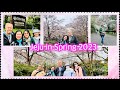 JEJU IN SPRING 2023: CHERRY BLOSSOMS IN HALLA ARBORETUM