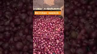 8805269419_नाशिक जिल्ह्यातील आजचे कांदा बाजार भाव , NASHIK PINK ONION FEBRUARY कांदाबाजारभाव nashik