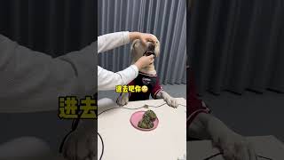 狗：别人做饭要钱、你做饭要命！#抖音动物图鉴#情绪稳定的小狗谁不爱#狗狗的心思都写在脸上了#小狗一看就知道非常乖#萌宠出道计划