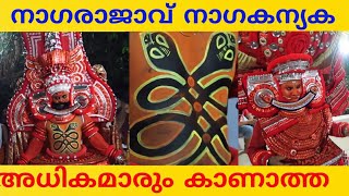 നാഗരാജാവും നാഗകന്യകയും.അധികമാരും കണ്ടിട്ടുണ്ടാവില്ല.Nagarajavu \u0026 Nagakanyaka Theyyam