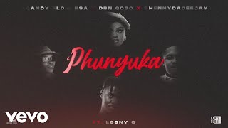 ShennyDaDeejay, Candy Flow RSA, DBN Gogo - Phunyuka (Visualizer) ft. Loony Q