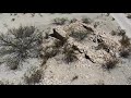 terlingua a west texas ghost town