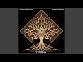 Ancestral Resonance Journey Mix