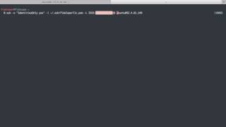 02 Connecting to MySQL via SSH