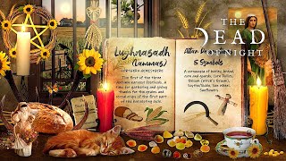 Witch's Lughnasadh / Lammas Altar Ambience 🧹☀️🌾🌻 | The First Harvest | Witch ASMR \u0026 Nature Sounds