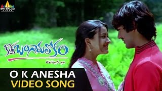 Kotha Bangaru Lokam Video Songs | O K Anesa Video Song | Varun Sandesh, Sweta Basu