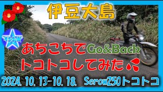 serow250とことこ_伊豆大島あちこちでGo&Backトコトコしてみた_241013-1018