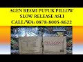 WA 0878-8005-8622, Jual Pupuk Pillow Slow Release Untuk Sawit Pekanbaru