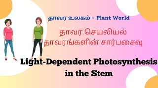 தாவர செயலியல்தாவரங்களின் சார்பசைவு |Light-Dependent Photosynthesis in Stem | 9th Biology | GoADEM