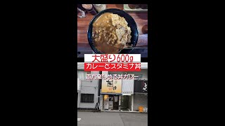 カレーライスとスタミナ丼を同時に楽しめる食堂は、ボリュームたっぷりの店だった‼ #カレーライス #スタミナ丼 #カレー