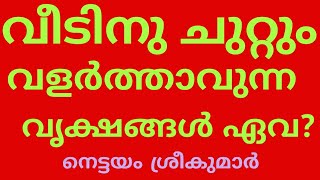 വീടിനുചുറ്റും വളർത്താവുന്ന  സസ്യങ്ങൾ ഏതെല്ലാം?