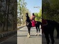 STUD SERVICES AT SIRSA HARYANA 9728123434 #horser #horse #horselover #ghodealajoda #punjabimusic