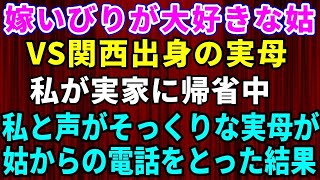 【スカッとする話】嫁いびりが大好きな姑にブチギレて実家に帰省中→私と声がそっくりな実母が姑からの電話を受け取った結果w【猫耳スカッと劇場】