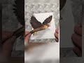 This simple trick makes the bird come alive #short #shorts #illusion #art #fun Yo2condoit Demo No517