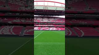 Benfica Estadio da Luz Football Stadium Lisbon ⚽