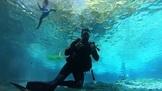 FLORIDA'S CLEAREST FRESH WATER SPRING SCUBA DIVING!!! Cave Diving Ginni Springs