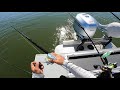 Napa River Stingray Fishing