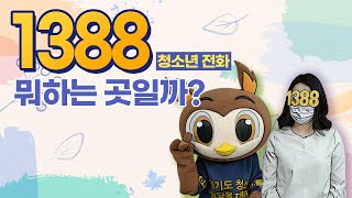 [나온터뷰] 1.3.8.8.의 모든것!!!!!!!!!!!!!!