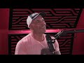 joe rogan experience 1533 adam curry