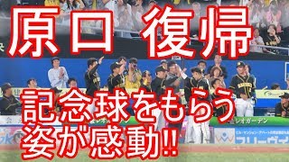 原口文仁が復帰初打席２塁打で矢野監督からボールもらう姿が感動 鈴木大地選手ありがとう