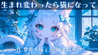 【泣ける話/悲しい/猫/生まれ変わったら】生まれ変わったら猫になって