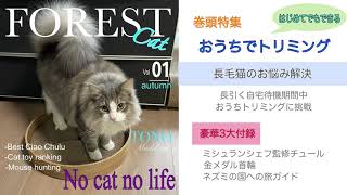 はじめてのおうちトリミング【長毛猫・ノルウェージャンフォレストキャット】