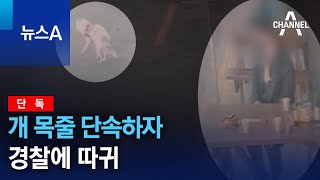 [단독]개 목줄 단속하자 경찰에 따귀 | 뉴스A