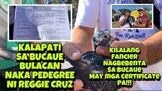 SARI SARING URI NG HAYOP SA BUCAUE KALAPATI LEGIT NA PANGARERA