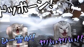 雪国の露天風呂が中々スリリングだった話　#猫ミーム #温泉#雪