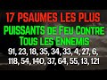 17 Psaumes Les Plus Puissants pour Détruire vos Ennemis (91,23,18,35,34,33,4,27,6,118,54,140,37,64)