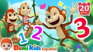 Cinco Monitos🐵| Canciones Infantiles | Rimas Infantiles de Animales | Domi Kids en español