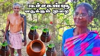 பாட்டியின் ஈச்ச கள்ளு இறக்கும் நேரடி காட்சி | Remnant Natural Alcohol.