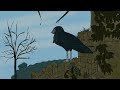 the giant crow