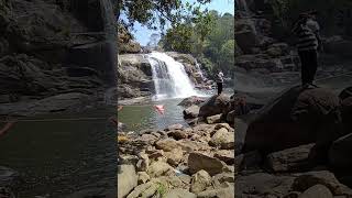 CHUNAYAMMAKKAL WATER FALLS.