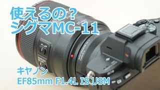 【使えるの？】シグマ マウントアダプター MC-11でキヤノン EF85mm F1.4L IS USMは使える？