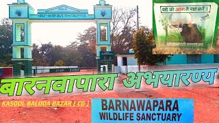 🏕बारनवापारा अभ्यारण्य Forest Renj // BARNAWAPARA WILDLIFE SANCTUARY Kasdol Baloda Bazar // #Vlog15 🏞