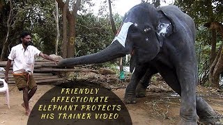 Epic Video ... Owner and Elephant Love