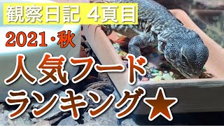 人気フードランキング★2021秋・我が家調べ【サバクトゲオアガマ】