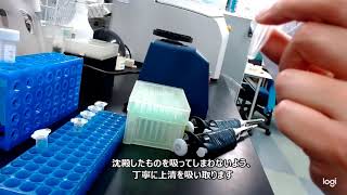 遺伝子型決定実験　6月5日版