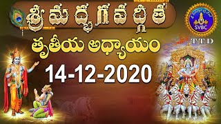 శ్రీమద్భగవద్గీత | SRIMADBHAGAVADGITA | TIRUMALA | 14-12-2020 | SVBC TTD