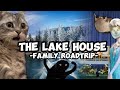 CAT MEMES: FAMILY ROADTRIP COMPILATION EP.9