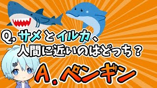 【そらねこ】この新人歌い手、会話が出来なさすぎてやばいｗｗｗ 【きみゆめ】【そらねこ切り抜き】 #Shorts