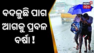 ପୁଣି ସୃଷ୍ଟି ହୋଇପାରେ ଲଘୁଚାପ, ୧୬ରୁ ରାଜ୍ୟରେ ବଦଳିବ ପାଗ, ରାଜ୍ୟରେ ପୁଣି ହେବ ବର୍ଷା | Odisha Rain | Odia News