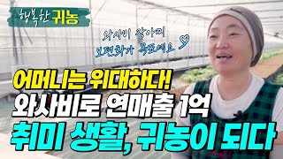 🌱곡성에서 와사비 장아찌 보편화가 목표!🌱 귀농 10년차 양수정 대표님의 와사비 귀농 이야기 들려드려요